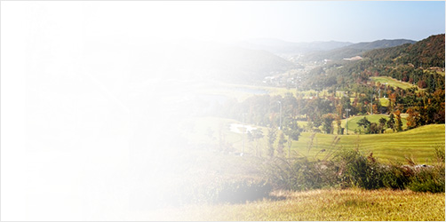 ���� �ȼ�